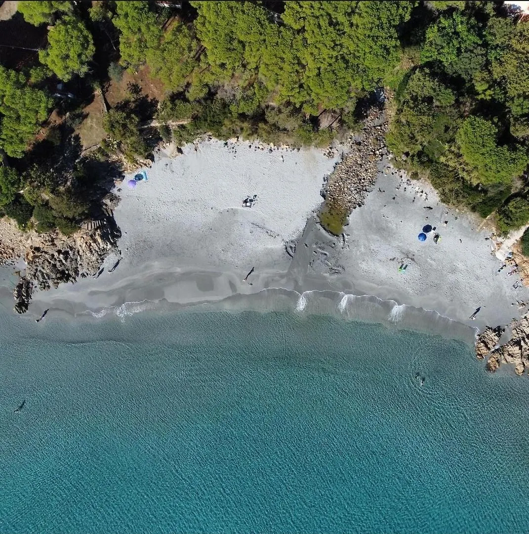 Holiday home Villa Le Palme Cala Liberotto