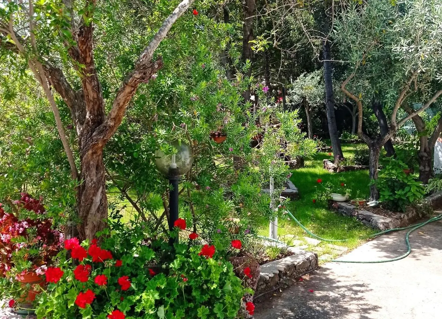 Holiday home Villa Le Palme Cala Liberotto