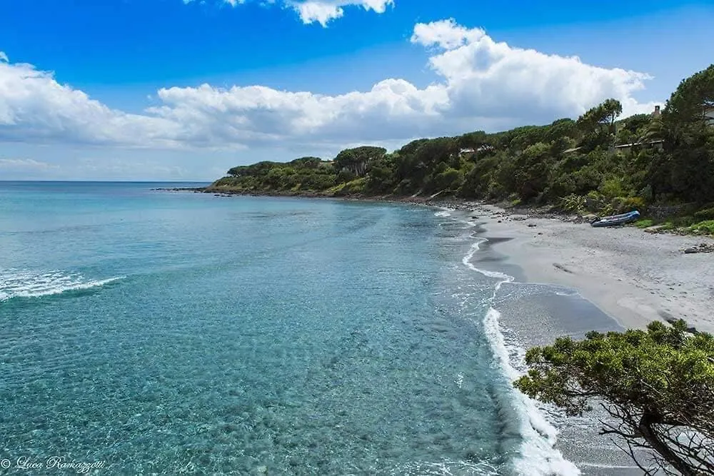 Villa Le Palme Cala Liberotto Holiday home