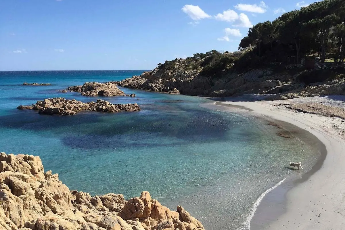 Villa Le Palme Cala Liberotto Holiday home